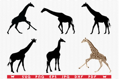 SVG Giraffes&2C; Black silhouettes&2C; Digital clipart