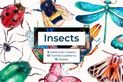 Watercolor Insect Cliparts