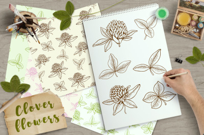 Clover Flowers and Leaves
