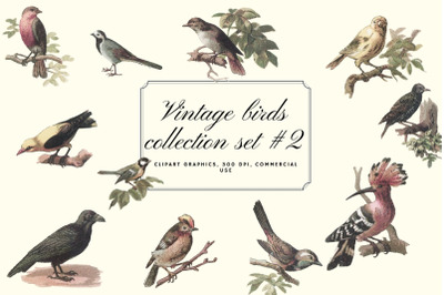 Vintage Antique Bird Clipart Graphics, Junk Journal Paper