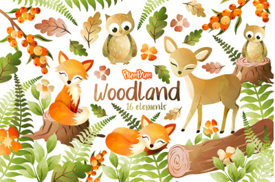 Woodland Watercolor Cliparts