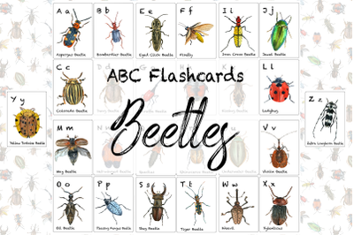 Beetles ABC Flashcards