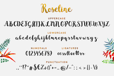 Roseline Cursive Font