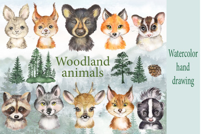 Woodland animals watercolor clipart. Forest animals