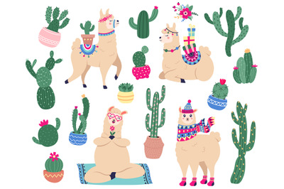 Llamas and cactus. Mexican cute alpaca with desert plants, funny peruv