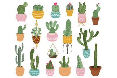 Potted cactus. Cute desert cactus, succulents and aloe in pots, tropic