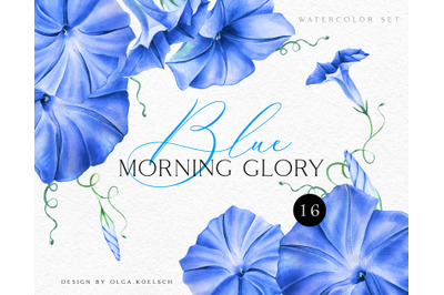 Watercolor blue floral modern clipart Hand drawn floral elements