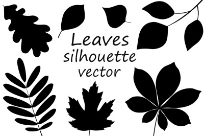 Collection Leaves silhouette. Autumn Leaves vector illustration