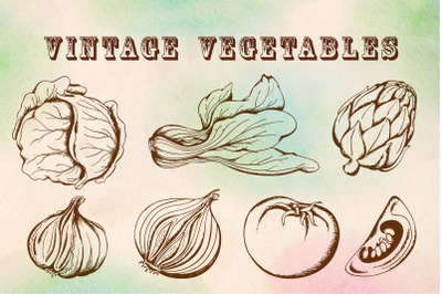 Set of Vintage Hand Drawn Vegetables