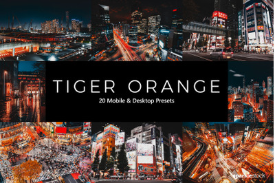 20  Tiger Orange LR Presets