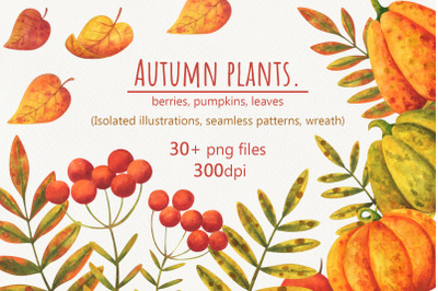 Autumn plants. Watercolor collection.