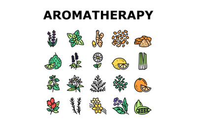 Aromatherapy Herbs Collection Icons Set Vector Illustration