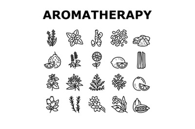 Aromatherapy Herbs Collection Icons Set Vector Illustration