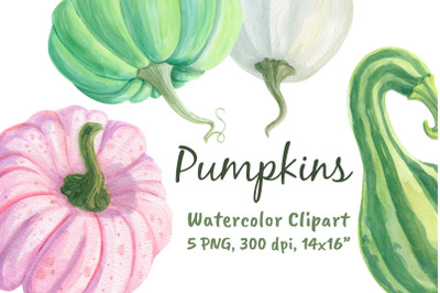 Pink Pumpkins Sticker Clipart Png Watercolor