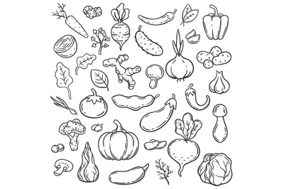 Doodle vegetables. Hand drawn different carrot, onion and cucumber. Gi