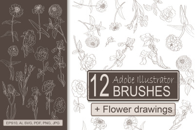 Flower Brushes for Adobe Illustrator + 12 Colors