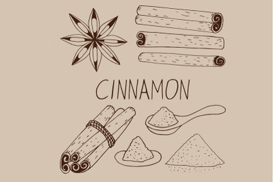 cinnamon hand drawn doodle vector set