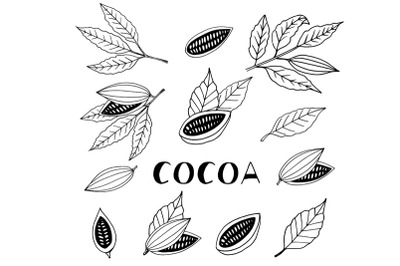 cacao hand drawn doodle vector set