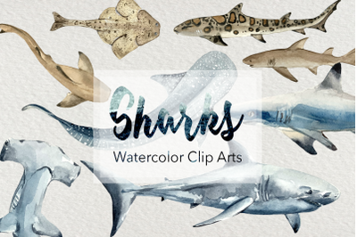 Watercolor Sharks Clip Art Set
