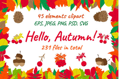 Autumn leaves. Vector clipart set.