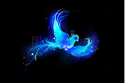 Blue Flame Bird