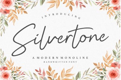 Silvertone Modern Monoline Handwritten Font