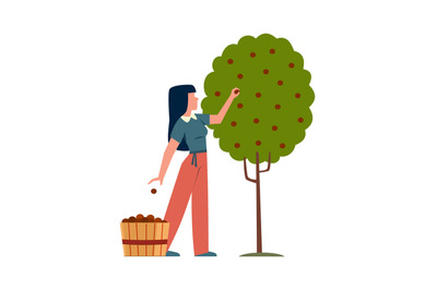 Woman in garden. Female character harvesting apples in basket from tre