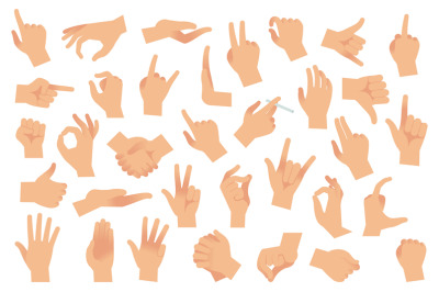 Hand gestures. Various arms, human hands, ok, thumb up and pointing fi