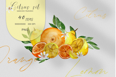 PNG Watercolor citrus illustrations set