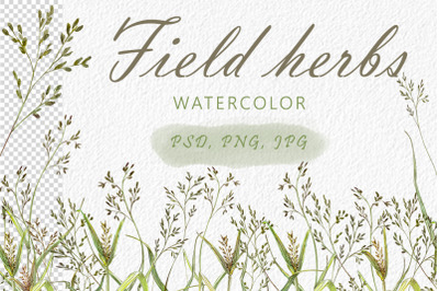Field herbs.