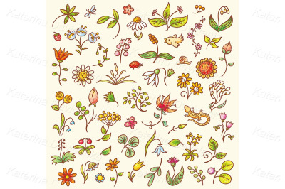 Clipart set of floral design elements, herbs and flowers