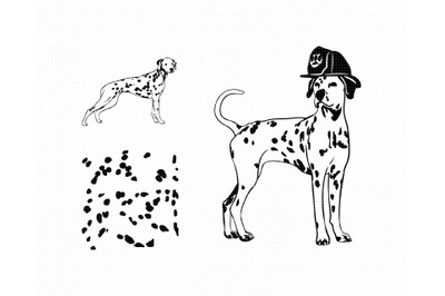 dalmatian SVG, dog PNG, DXF, clipart, EPS, vector cut file