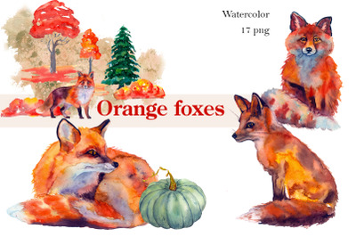 Autumn watercolor fox animals clipart