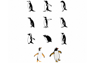 penguins SVG, penguin bundle PNG, DXF, clipart, EPS, vector