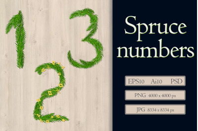 A set of numbers from fir branches.