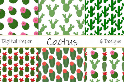 Cactus patterns vector. Digital Paper. Cactus SVG.