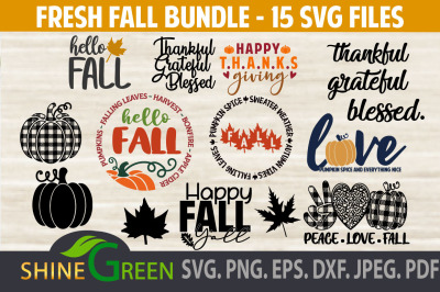 Fall SVG Bundle - 15 Latest designs, Pumpkin, Autumn, Thanksgiving DXF