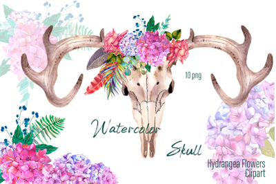 Watercolor clipart boho skull and hydrangea flowers and roses
