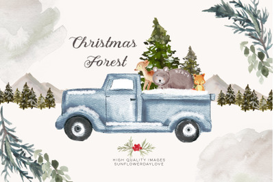 Christmas Stories Watercolour, Baby animals nursery clipart, woodland