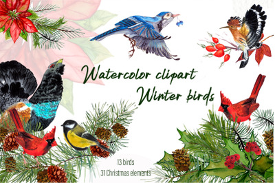 Watercolor clipart Winter birds