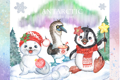 Antarctic animals christmas clipart. Cute penguin, baby seal, bird
