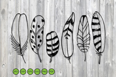 Feathers set SVG. Hand-drawn sketch SVG Feathers Set.