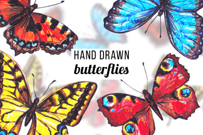 Hand drawn butterfly set