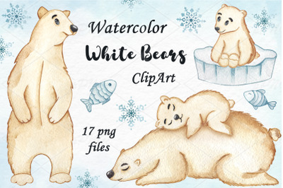 Watercolor polar bears clipart, Polar bears clipart, Baby Bears,