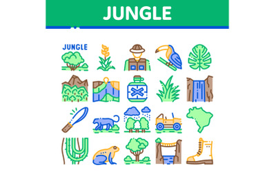 Jungle Tropical Forest Collection Icons Set Vector