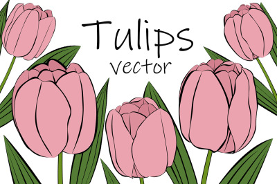 Tulips vector. Tulips flower. Tulips SVG. Tulips flower SVG