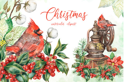 Merry Christmas watercolor clipart. Holly berries, red cardinal bird