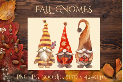 Fall Gnomes. Watercolor Clipart.