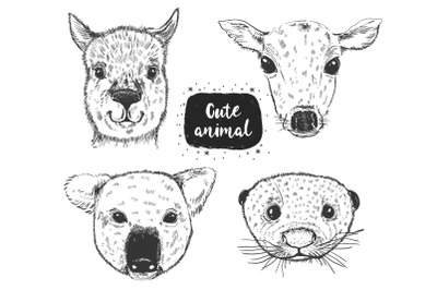 Animal head sketch collection