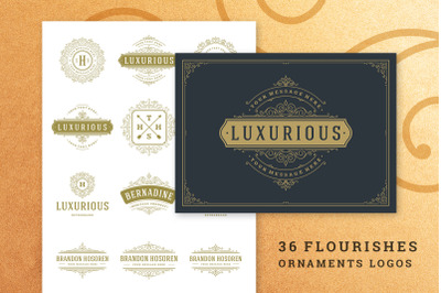 36 Luxury Ornament Logos